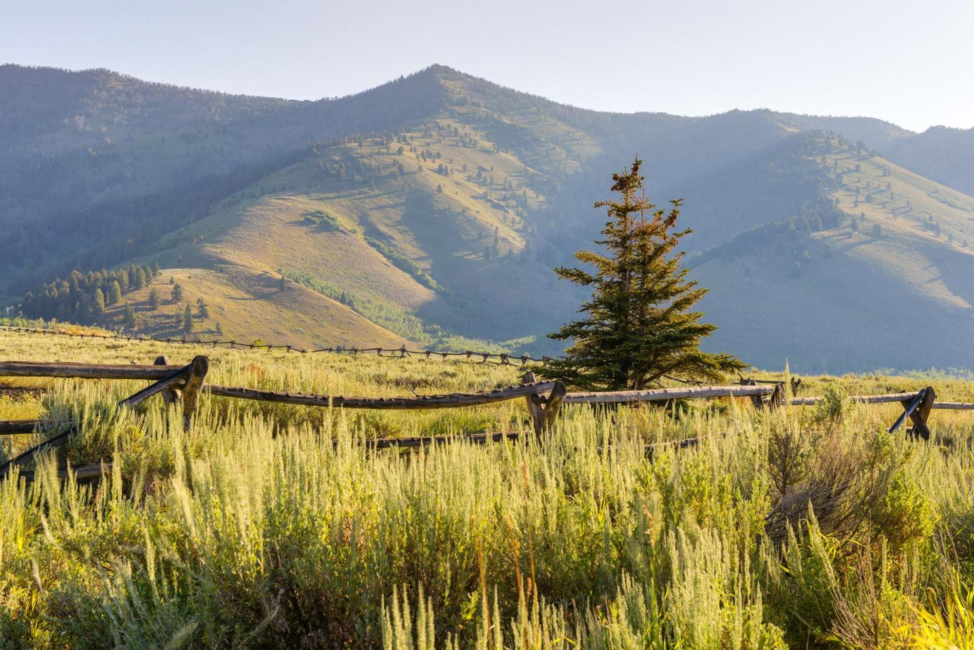 Cozy Island Park Cabin, 20 Mi To Yellowstone! Exterior photo
